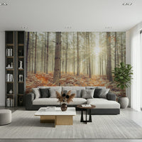 Detailed sunbeam imagery on a durable vinyl forest wall mural.