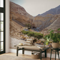 Evokes a feeling of open space and natural wonder.

