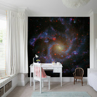 NGC Galaxy urban loft artistic wall mural design