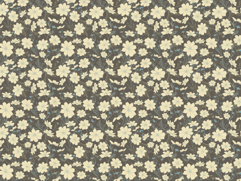 Cosmos Flower Gray Wallpaper