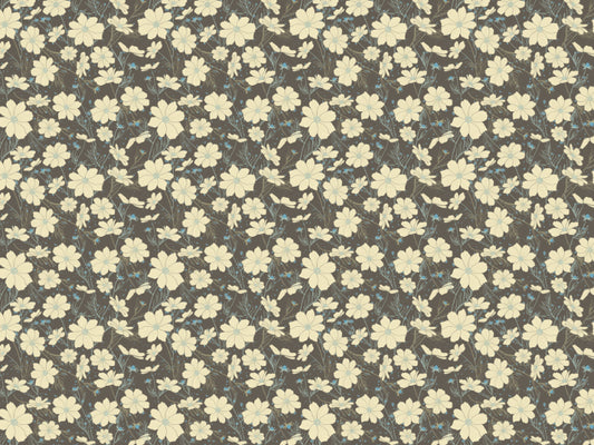 Cosmos Flower Gray Wallpaper