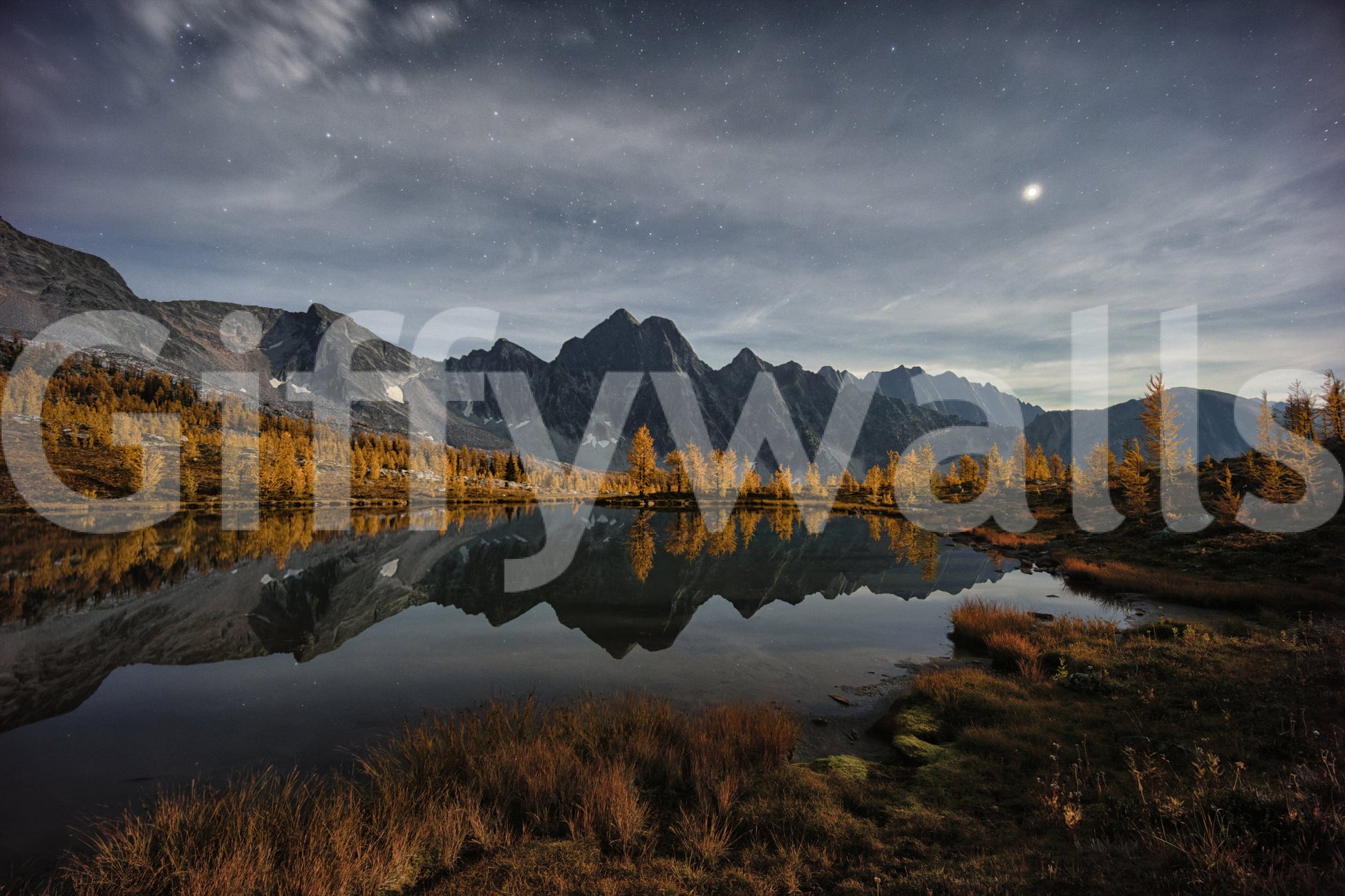 Scenic night water mural in lounge, dark blue color palette, modern wall decor backdrop