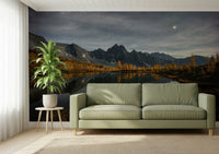 Calm night reflection mural for entryway feature wall, deep color tones, modern apartment decor