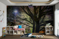 Mysterious and serene atmosphere.

