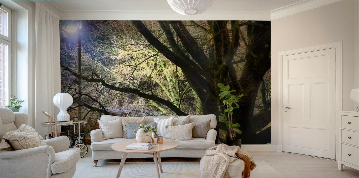 Deep blues, blacks, and subtle warm highlights.

