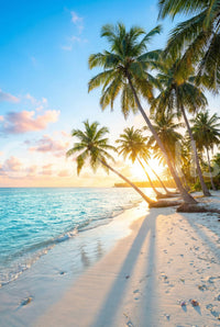 Ocean Dreams Wall Mural