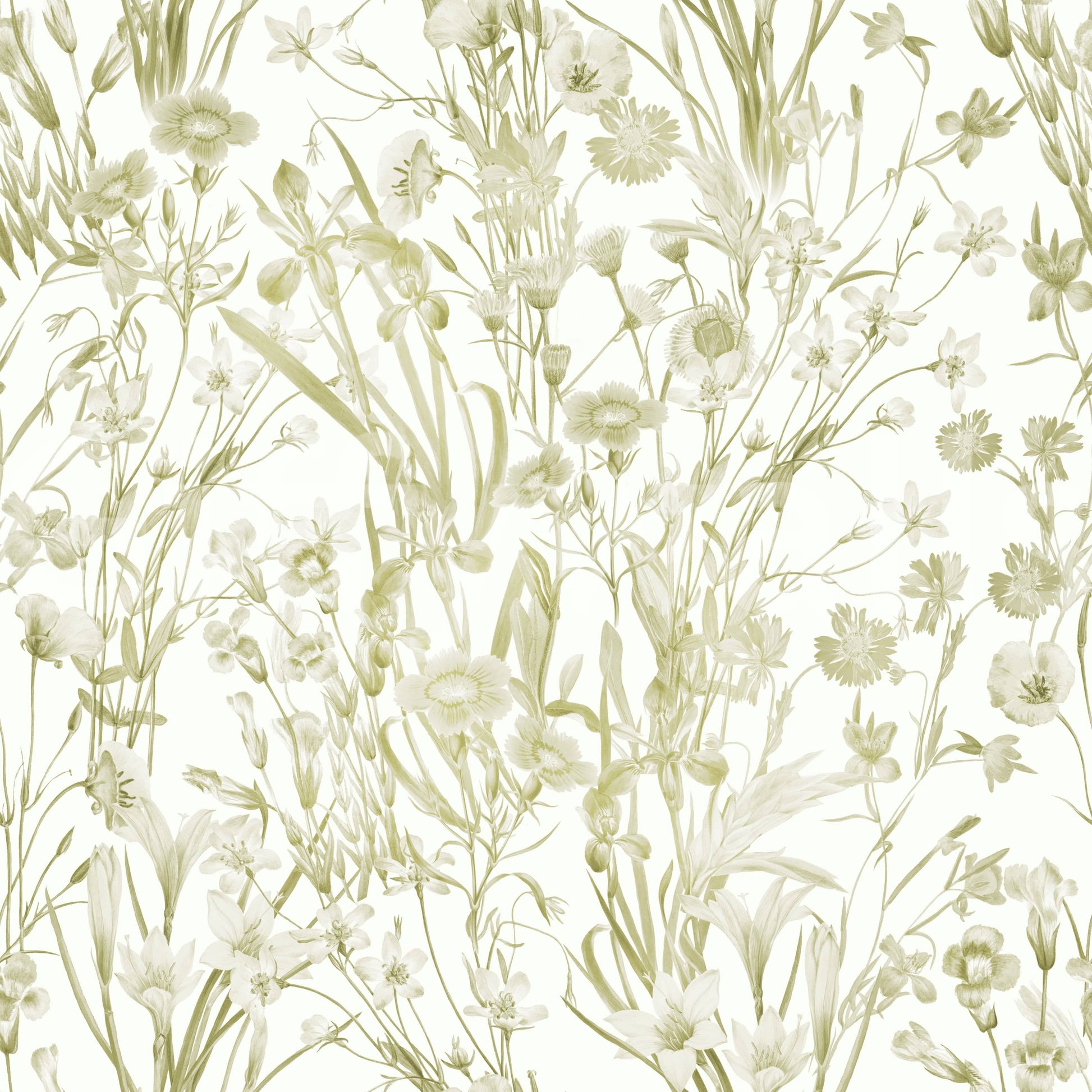 High-quality image of the summer meadow wallpaper

