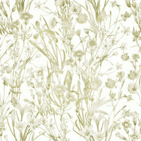 High-quality image of the summer meadow wallpaper

