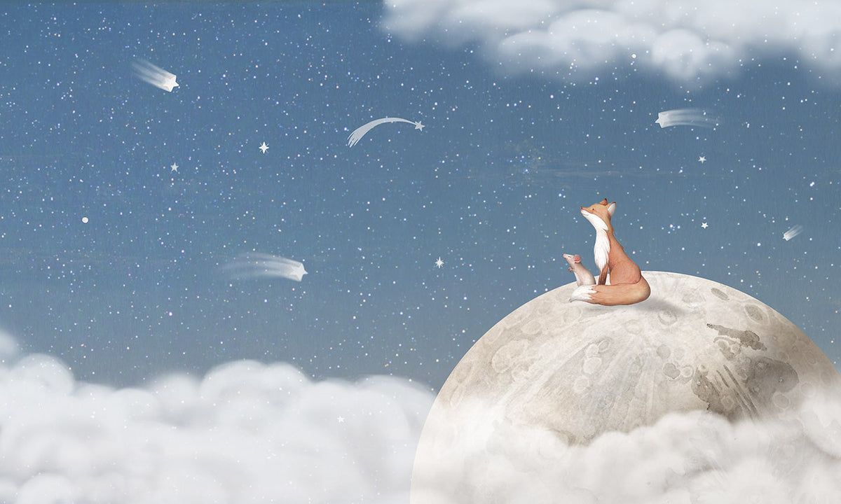 Fox On the Moon Blue Mural in your room