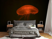 A contemplative sea life wallpaper mural for a feature wall.

