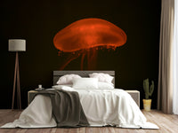 A beautiful aquarium scene wallpaper mural with colorful fish.

