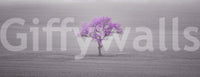 soft and calming floral scene

