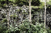 Stone wall with greenery wallpaper in entryway, minimalist modern décor