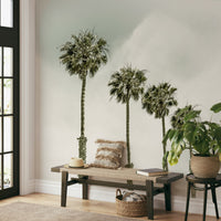  Coastal vintage mural featuring swaying palm trees

