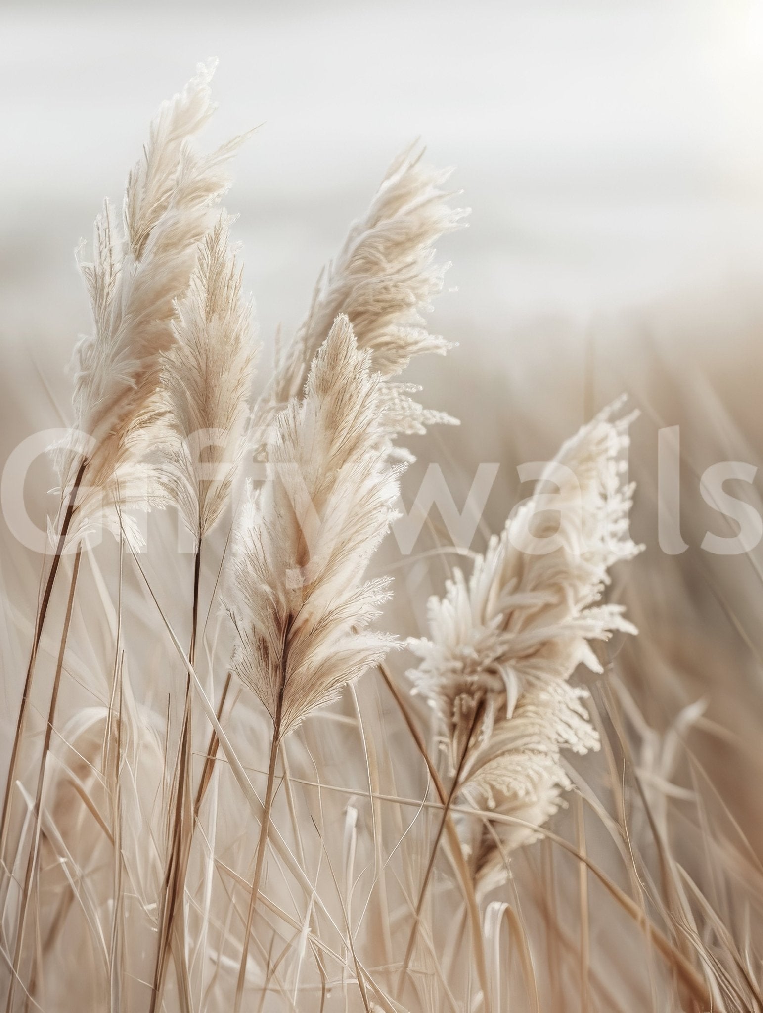 Coastal nature mural featuring pampas grass by the sea

