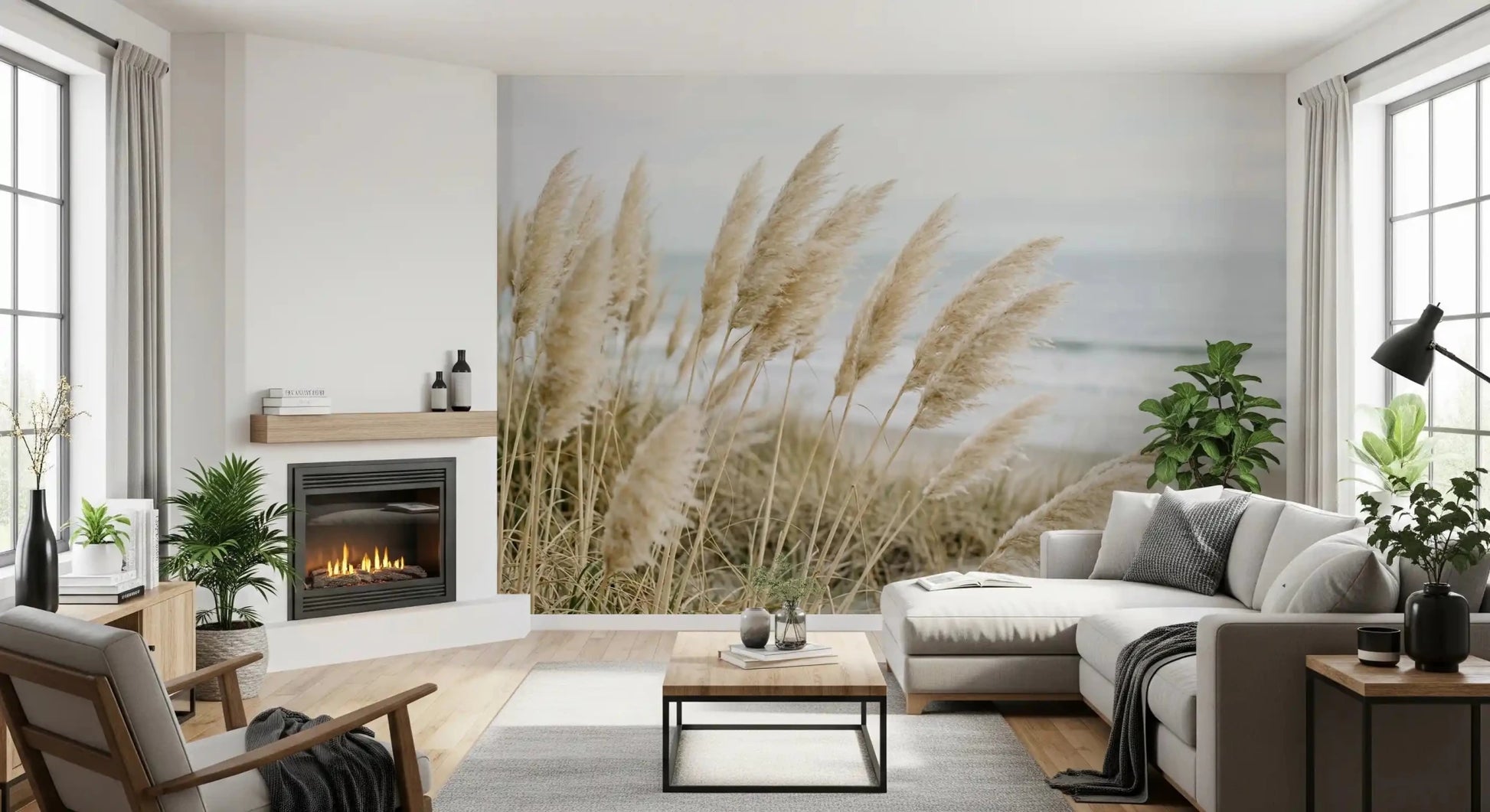Coastal Pampas Whisper wall mural around a Living area with soft daylight