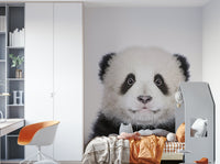 Cute panda design on a large wall mural

