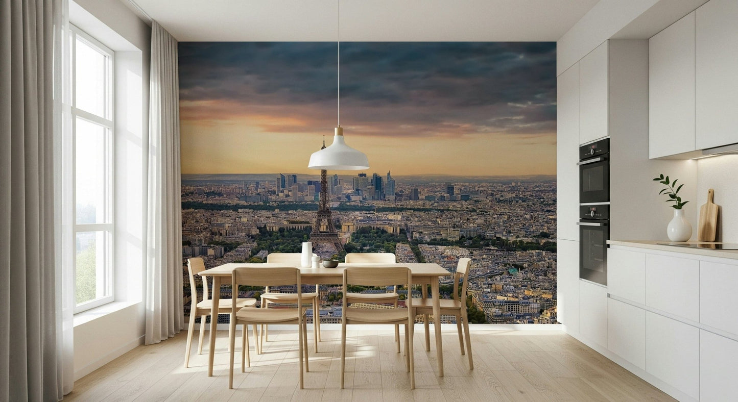 Stunning Paris Panorama Sunset backdrop buildings park area removable mural.