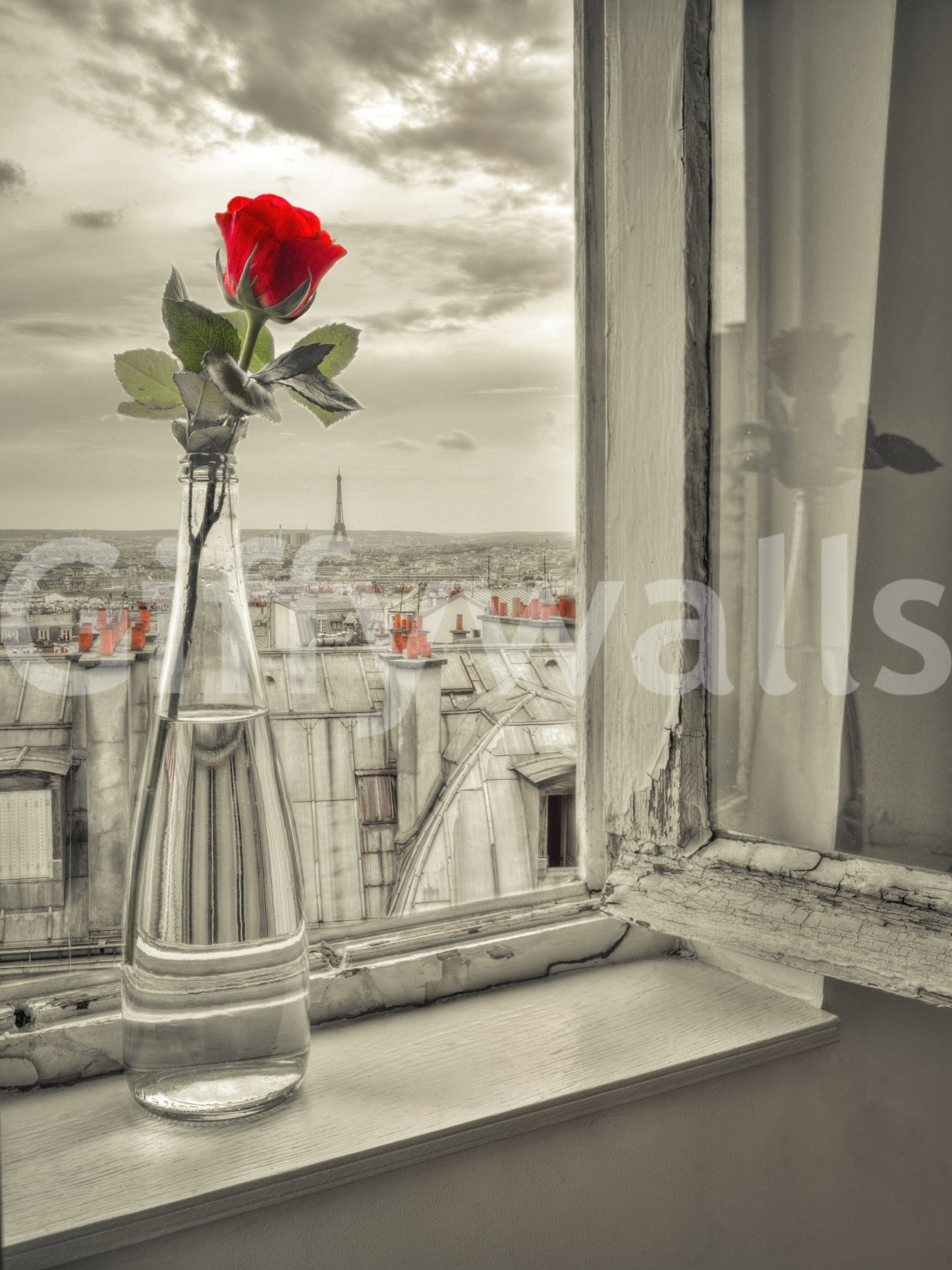 Parisian Bloom Wall Mural
