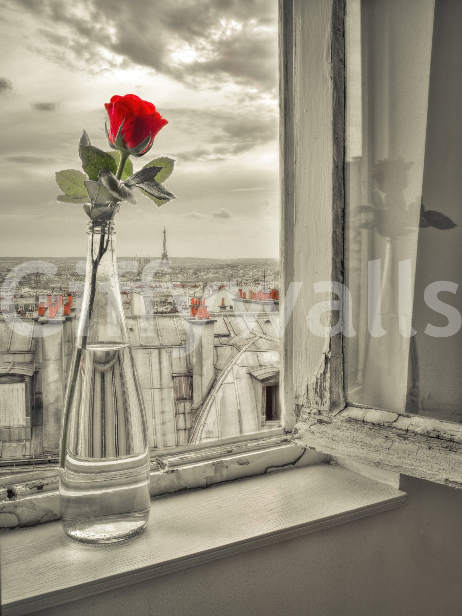 Parisian Bloom Wall Mural