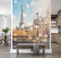Parisian Light Wall Mural