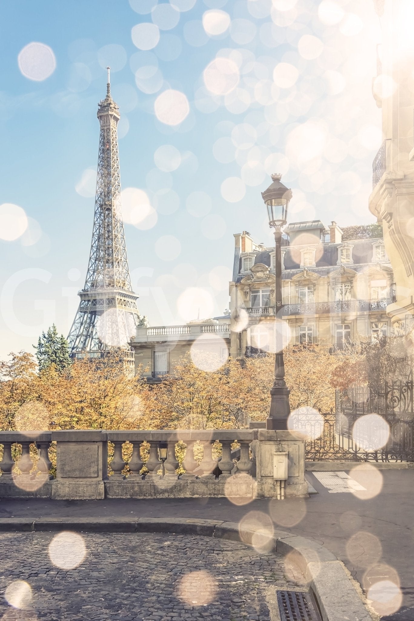 Parisian Light Wall Mural