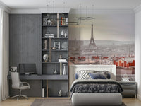 Zinc rooftops and chimneys Parisian Rooftops wall mural art.
