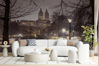 Park Path at Night winter cityscape mural wallpaper accent
