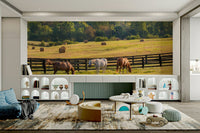 Grazing horses in sunlit farm field
