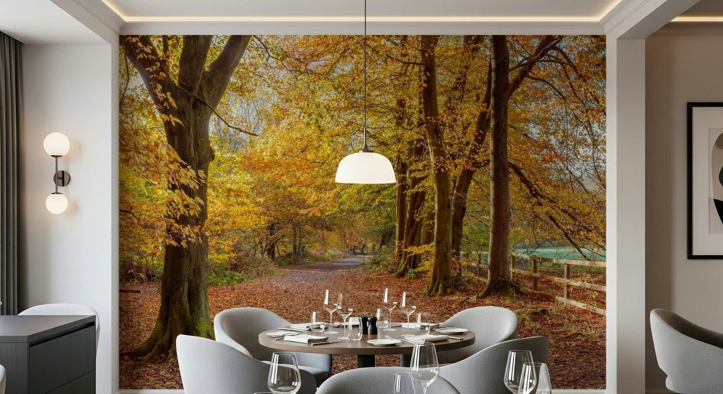 Immersive yellow and orange forest wallpaper, inviting scenic route.