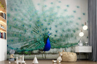 Peacock-themed wallpaper with intricate feather details and rich jewel tones.