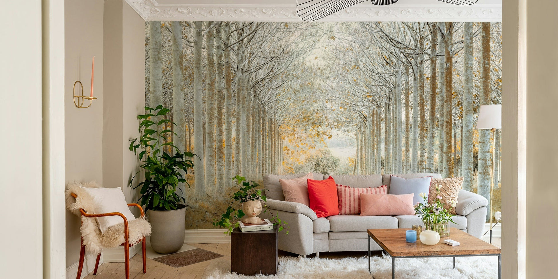 Balanced nature wall mural

