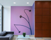 The wallpaper for walls being installed.

