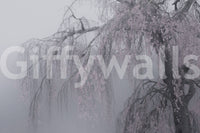 Pastel Whispers of Spring flowering Japanese tree artwork wallpaper.