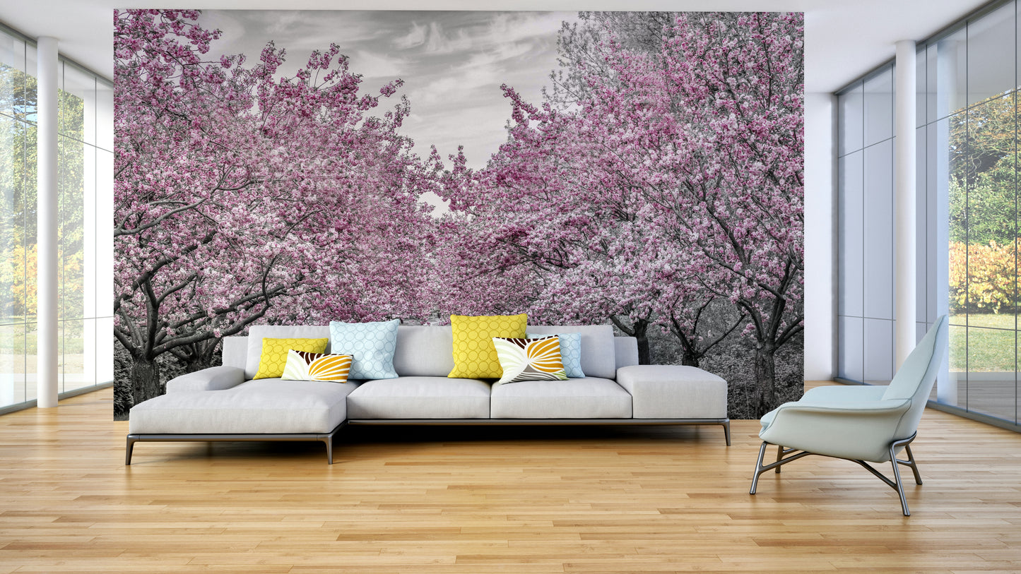 Cherry blossom path mural for peaceful interiors

