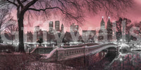 Pink Dusk over Central Park mural bringing peace and tranquility to your space.

