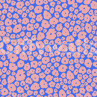 The image provides a sense of quiet beauty and tranquility.
