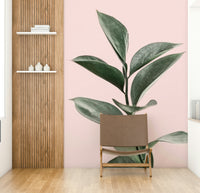 Light wall mural for fresh, airy rooms

