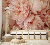 Soft pink peonies wallpaper

