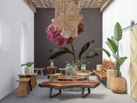 Wall mural Peony Blush Elegant magenta blossom captures light.