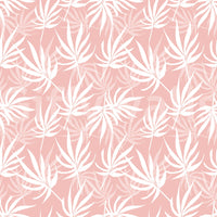 Subtle Tropical Blush wallpaper decor white fan palm silhouettes.