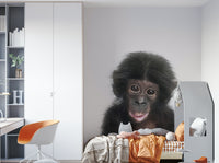 Happy baby monkey wall mural for children’s room

