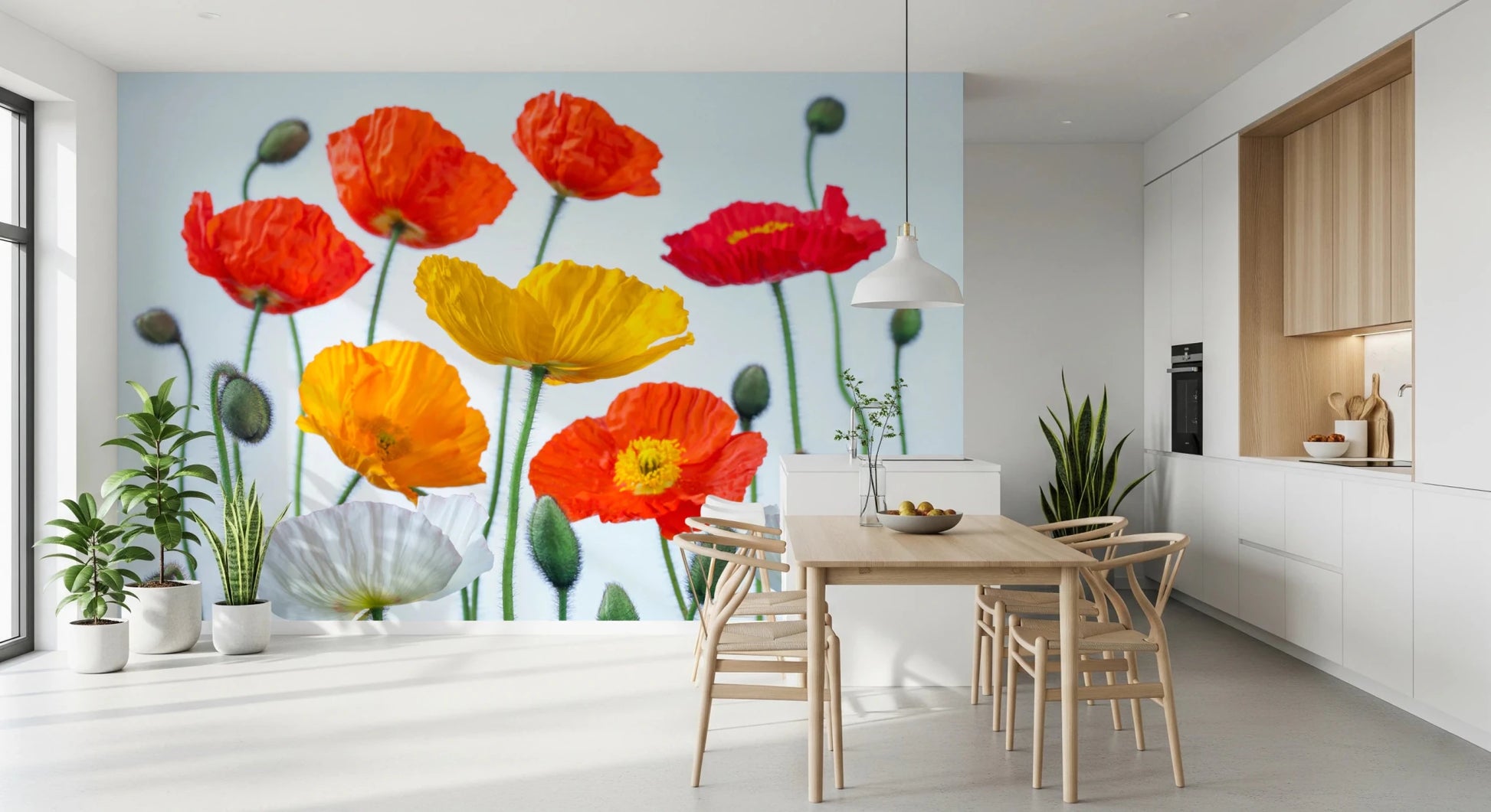 Poppy Field Burst Wall Mural