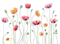 A high-quality serene flower wall mural for walls.

