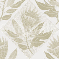 Muted sage protea wallpaper for peaceful, elegant spaces


