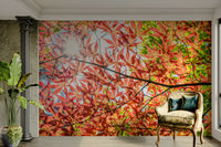 A high-quality print of a tranquil autumn scene.

