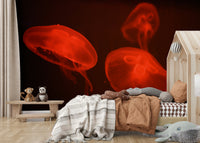 A contemplative sea life wallpaper mural for a feature wall.

