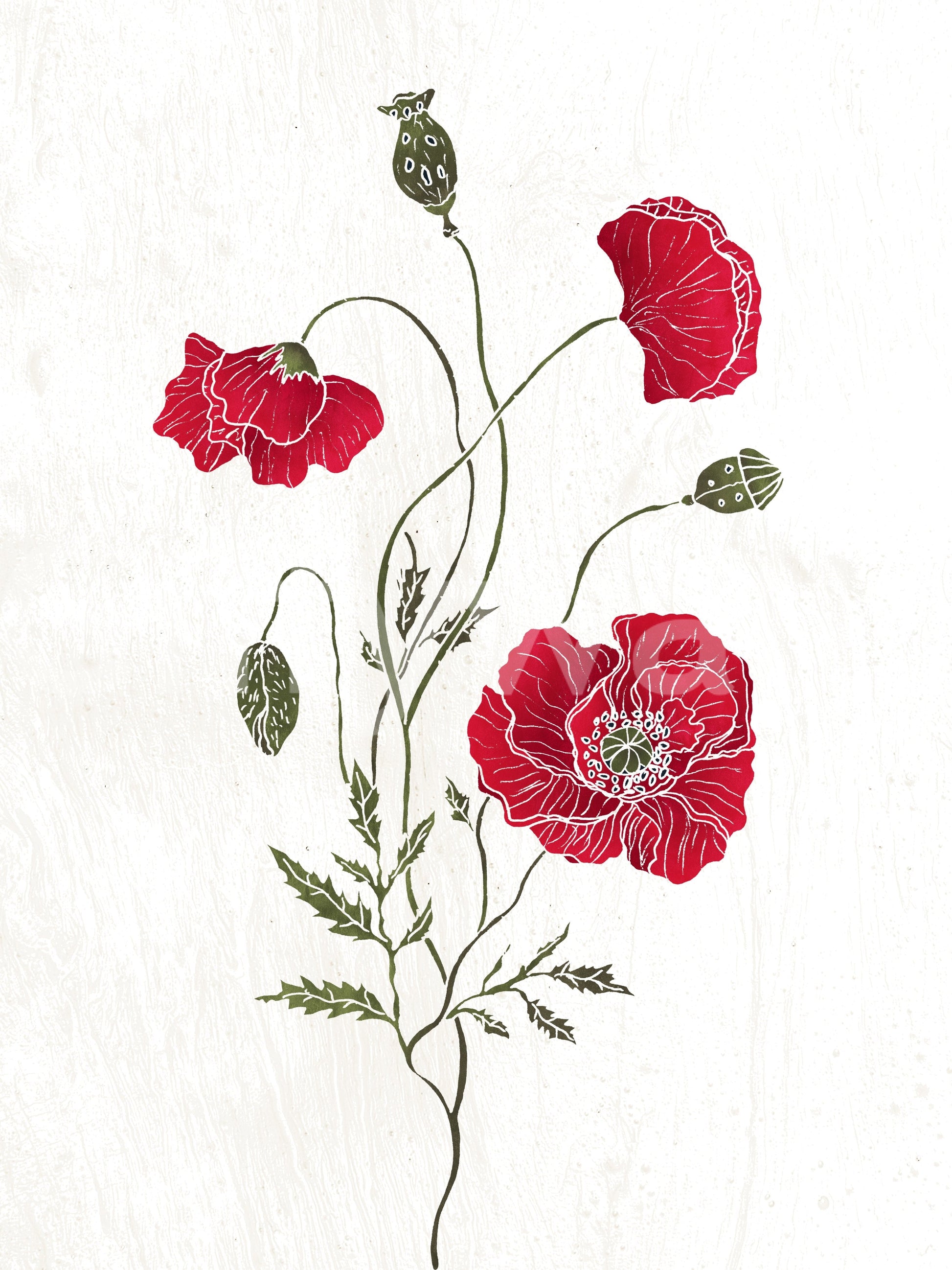 Charming Lonely Red Poppy artwork, stylish custom wall covering.