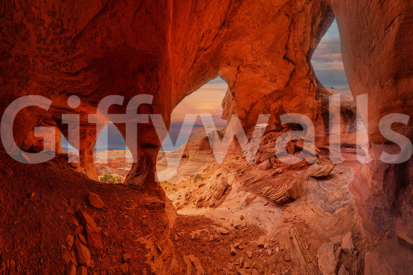 Red Rock Arches Wall Mural -2338549