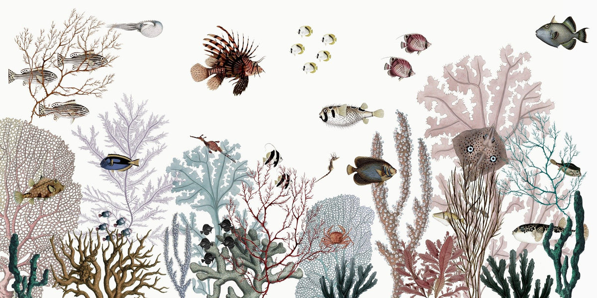 Colorful Reef wallpaper with white background
